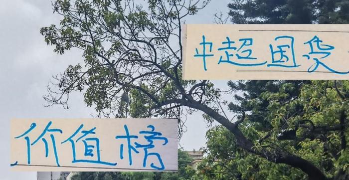 开云体育-海外中超国货最新价值榜 申花球员蒋圣龙最贵 海港的莱昂纳多最值钱